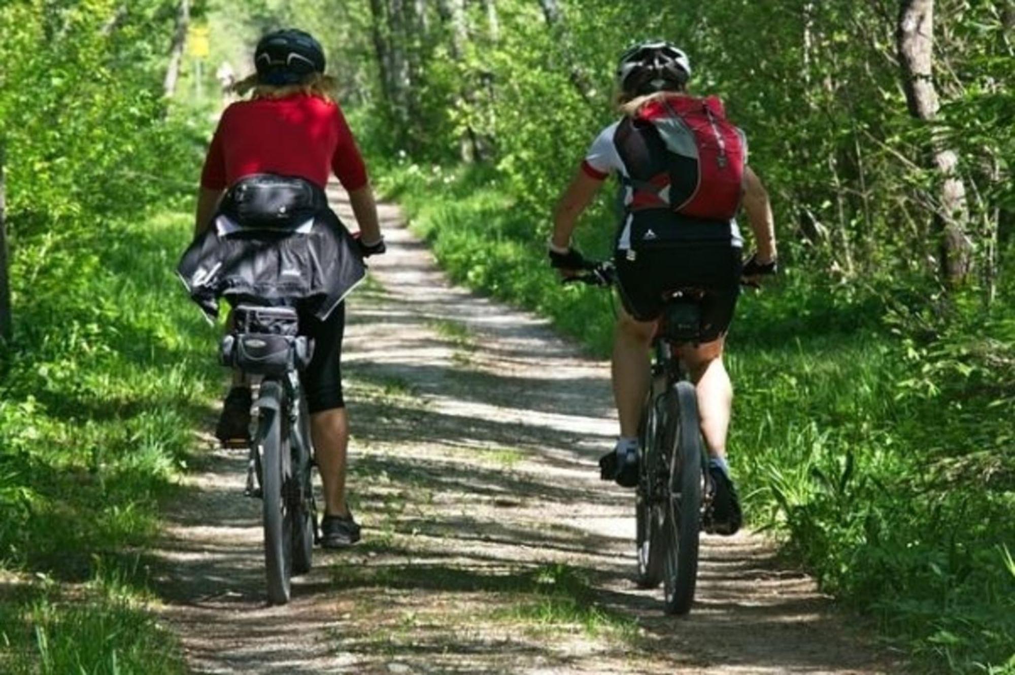 Appartamento Travel Freiraum Willstätt Esterno foto